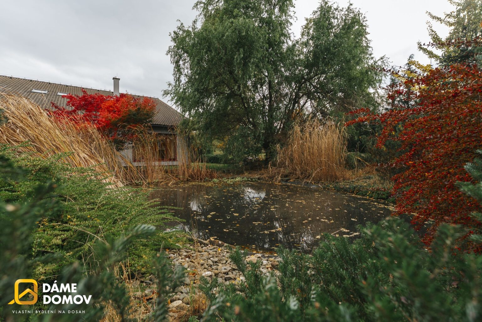 1920x1920wm2410241258-0eb2e-prodej-rodinneho-domu-350-m2-s-bazenem-biotopem-a-velkou-zahradou-pohorelice-069-68217034a4-1800592647